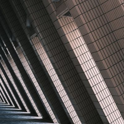 Abstract lines of light moving in a dark space.